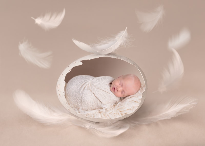 Newborn Photography, a little baby sleeps within a large cracked egg on a cozy cushion, feathers fall around the egg