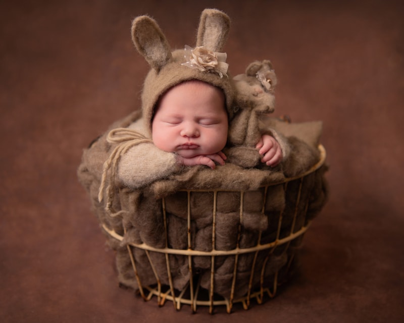Newborn Photography, a baby wears a cozy outfit with nummy ears and sleeps within a boho style basket